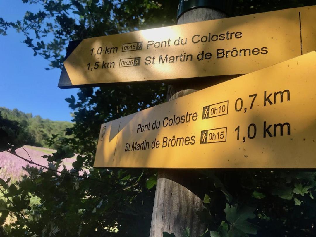 Le Colostre T2 Saint-Martin-de-Brômes Dış mekan fotoğraf